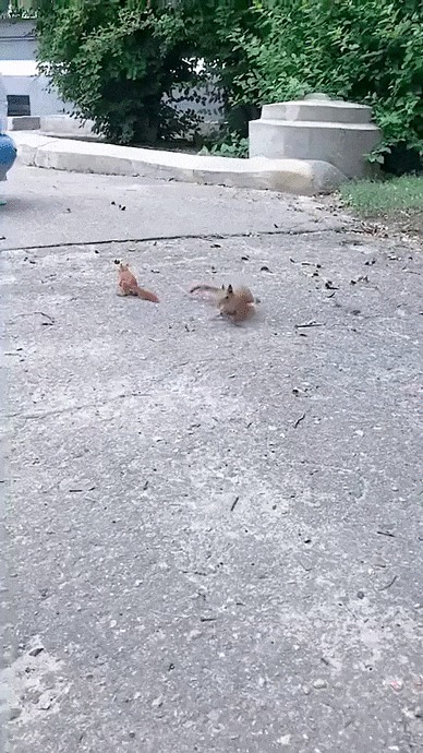Видеонамёк о том, что готова к новым отношениям